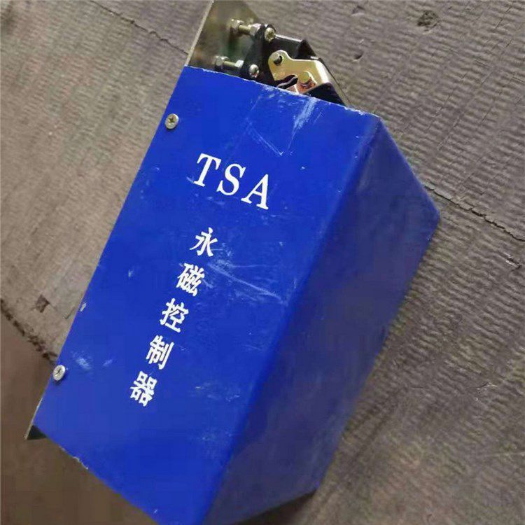 濟源煤炭高壓 _TSA永磁控制器(圖1)